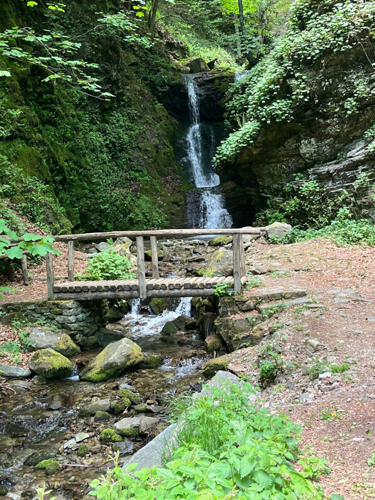 Elatovillage 埃拉托克里昂 外观 照片